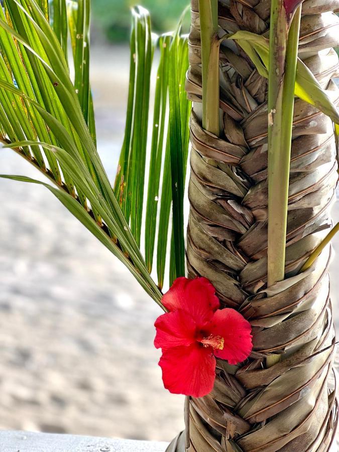 Coco Beach Resort Port Vila Exterior photo